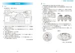 イメージを拡大する